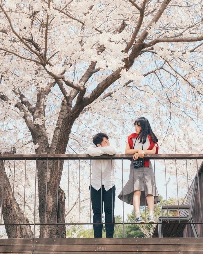 hình ảnh tình yêu 19