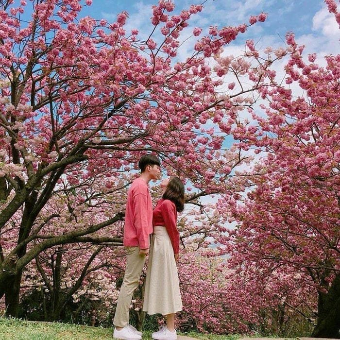 hình ảnh tình yêu 28