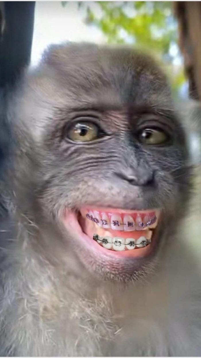 hình ảnh troll 15