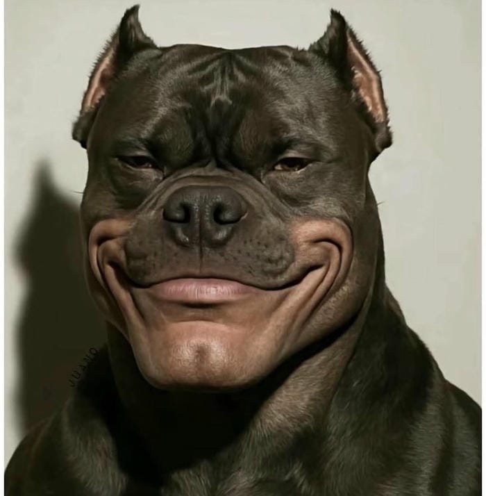 hình ảnh troll 27