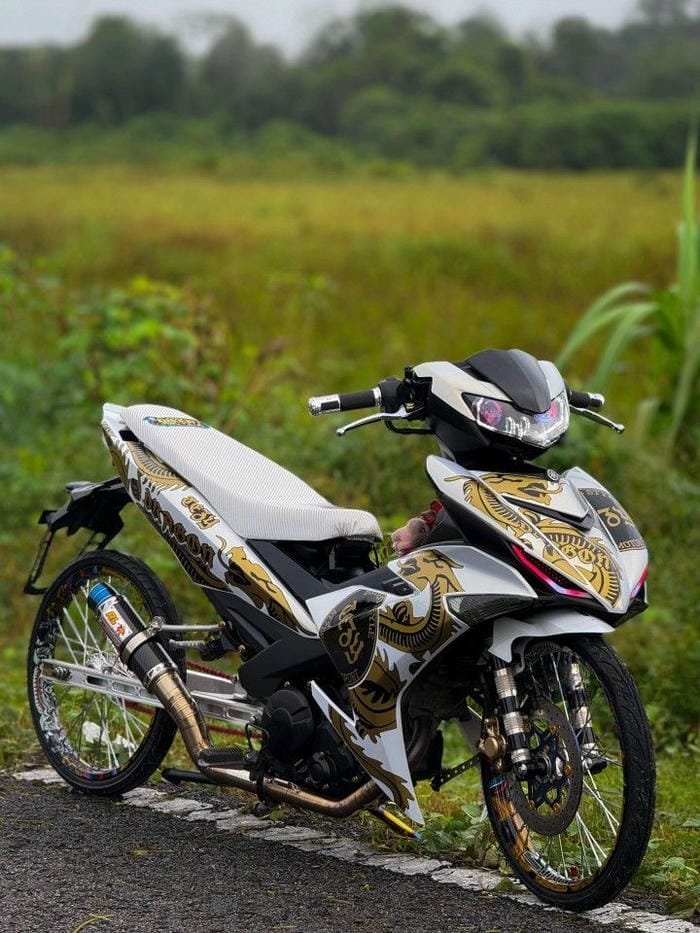 hình ảnh xe độ 17