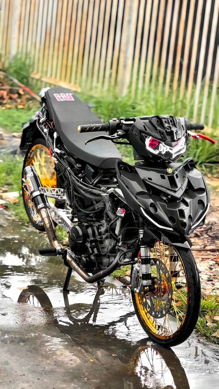 hình ảnh xe độ 20